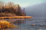 Distant Fog_00961